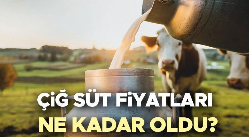 Çiğ süt fiyatları 2025 son dakika güncel | Çiğ sütün fiyatı ne kadar? 1 litre sütün fiyatı ne kadar? Ulusal Süt Konseyi (USK) açıkladı!