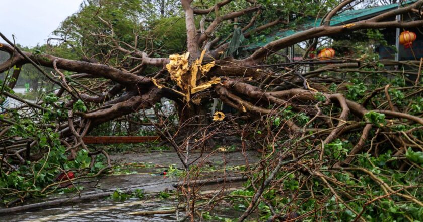 Vietnam'da etkili olan Buoloi Crefuna'daki ölüm sayısı 29'a kadar çıktı