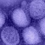 Kuzey Yarımküre'de “H3N2” alarmı! “Eşi görülmemiş grip vakaları yaşanıyor”