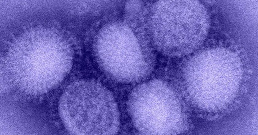 Kuzey Yarımküre'de “H3N2” alarmı! “Eşi görülmemiş grip vakaları yaşanıyor”