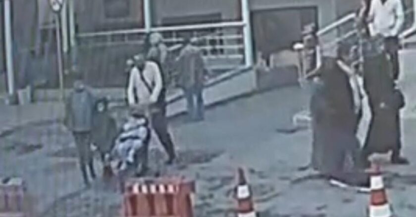 Böcek ailesiyle ilgili soruşturmada yeni görüntüler gün yüzüne çıktı