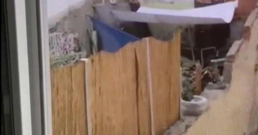 Eskişehir’de köpeğe zulmeden kişi tutuklandı